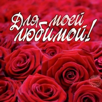 Открытка любимой девушке