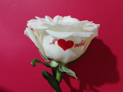 Цветы для любимой
